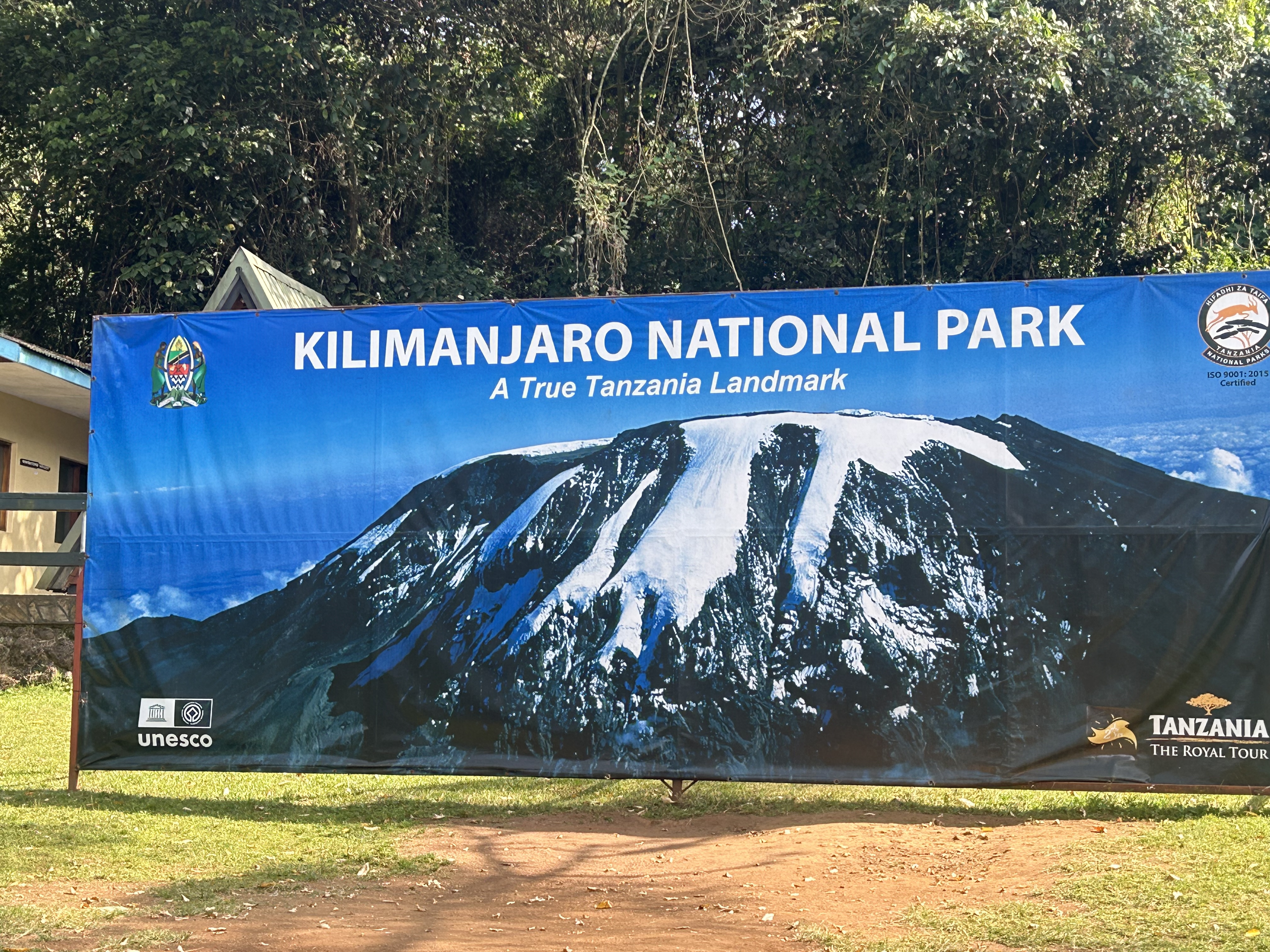 Exploring Kilimanjaro: One Day Trek Insights