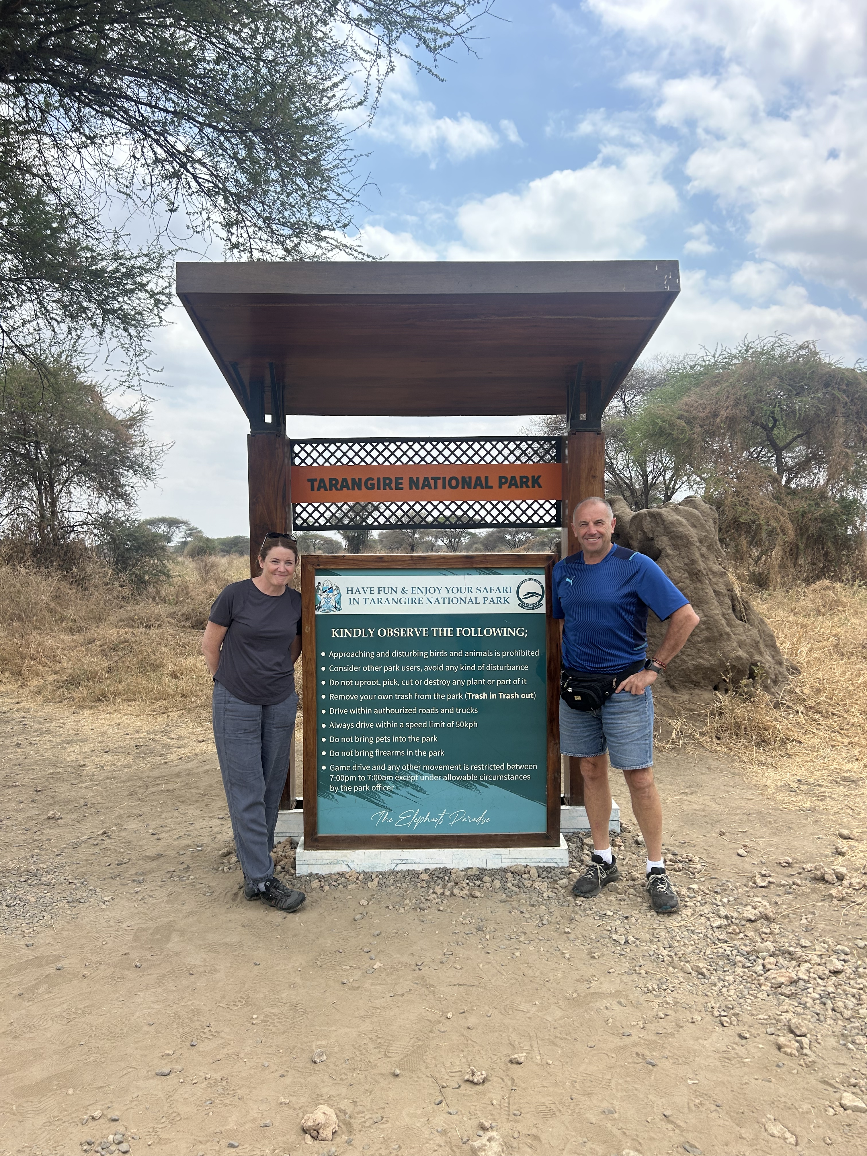 Serengetti safari -The elephants of Tarangire