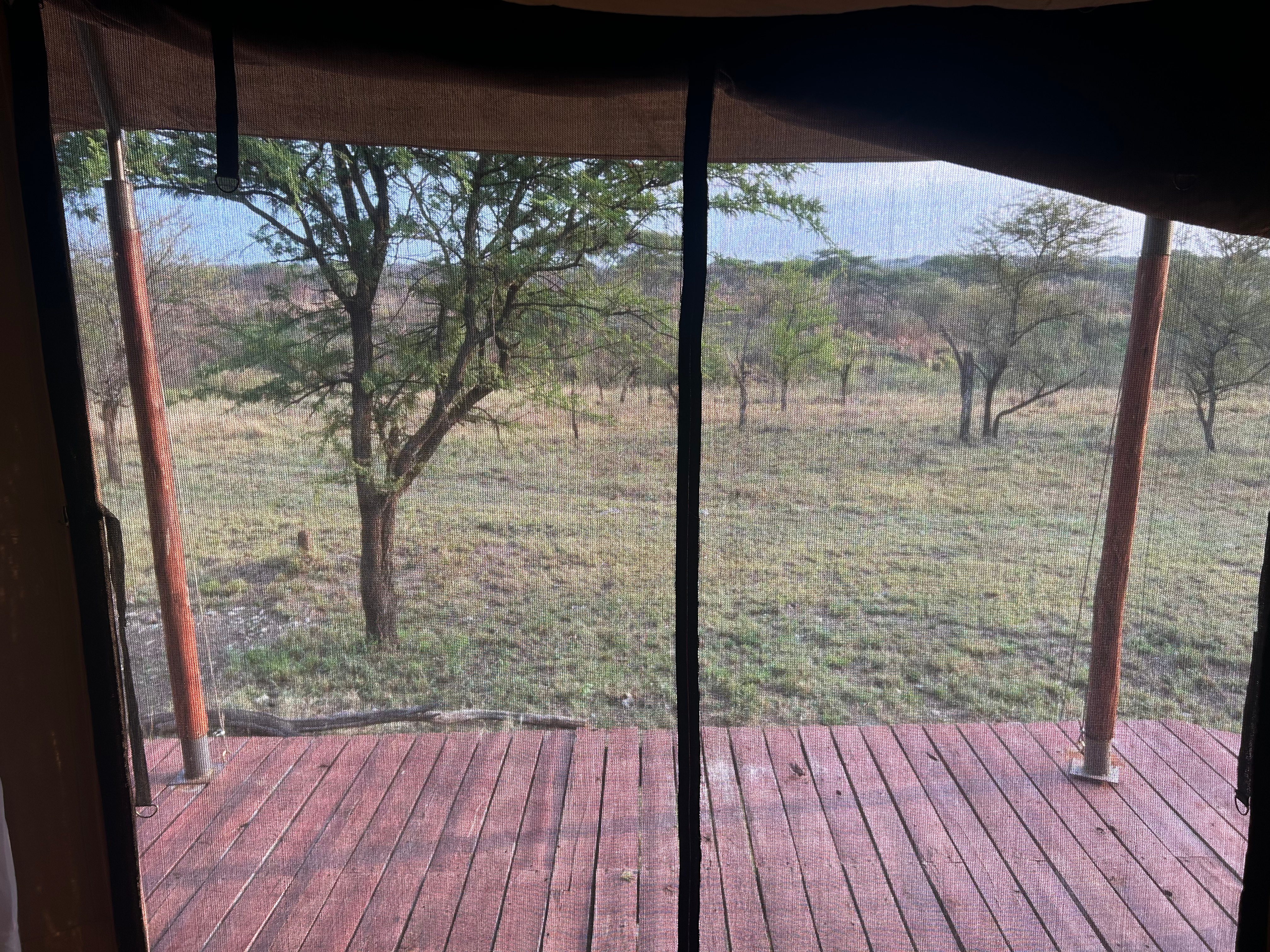 Serengetti safari –  more safari accommodation shocks