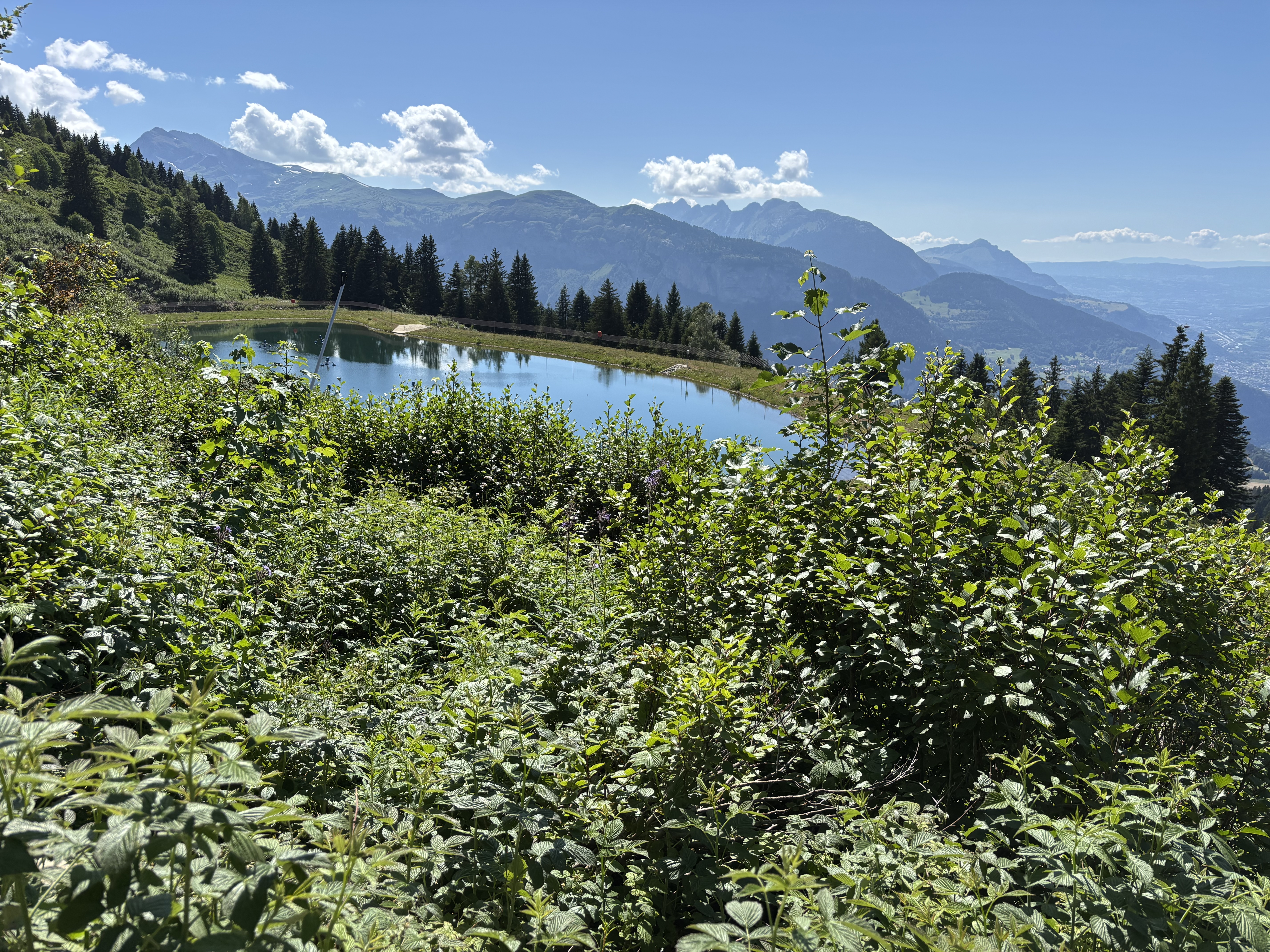 Summer Thrills: Mountain Biking in the French Alps