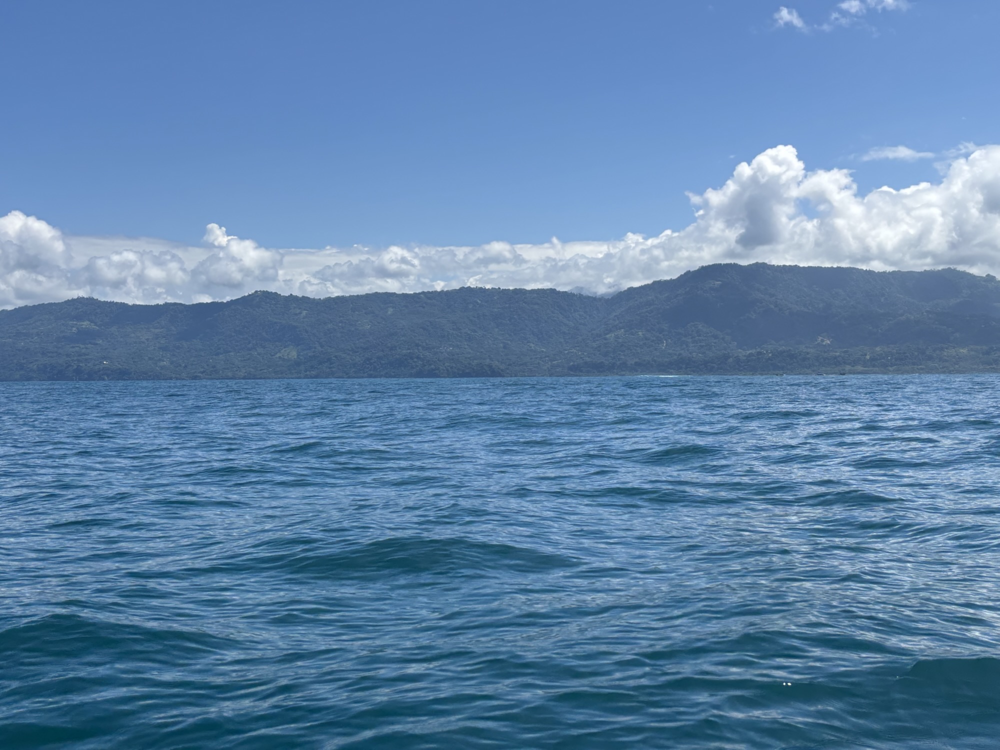 Whale watching adventures off Uvita