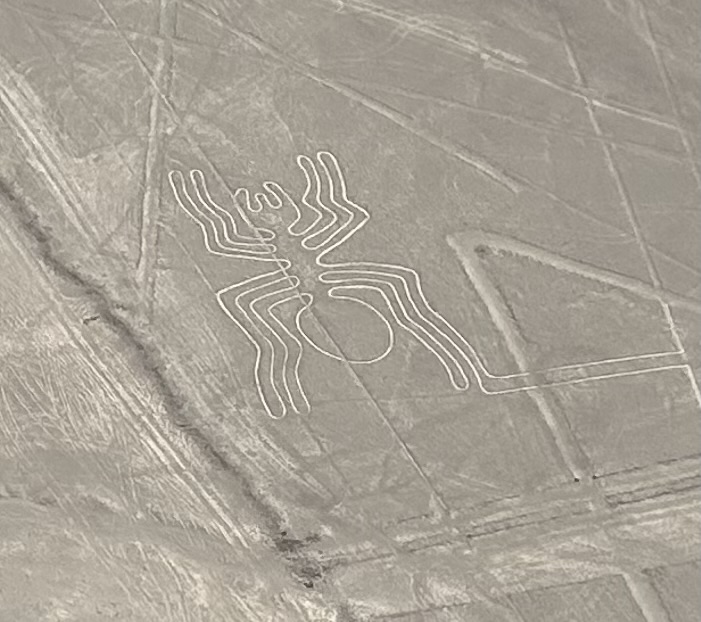 The Nazca lines in the company of a stunt pilot.